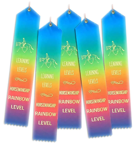 horsesense rainbow ribbons